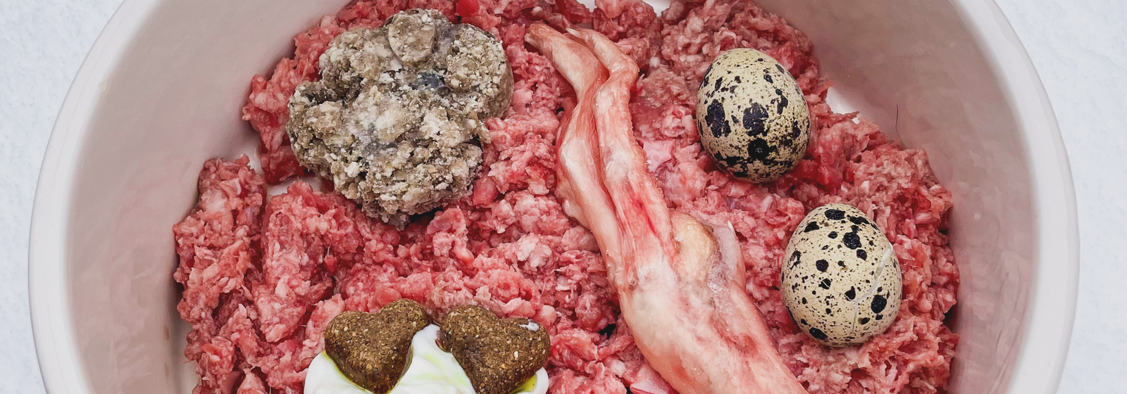 Is raw hamburger bad for dogs best sale