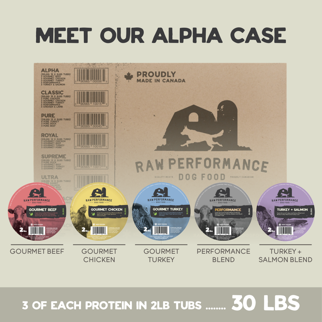 Raw Dog Food Cases | Raw Performance Dog Food | Ontario Delivery