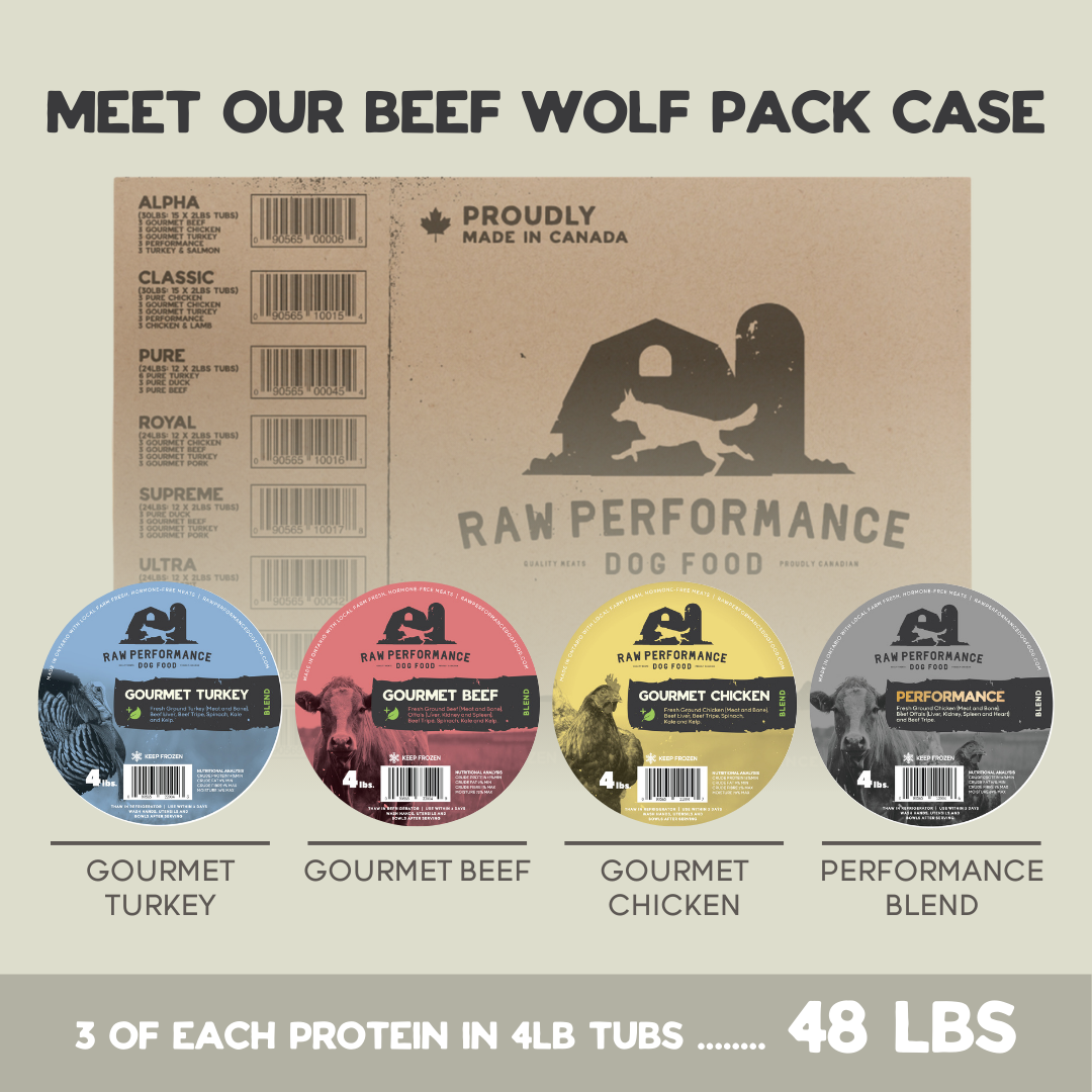 Raw Dog Food Cases | Raw Performance Dog Food | Ontario Delivery