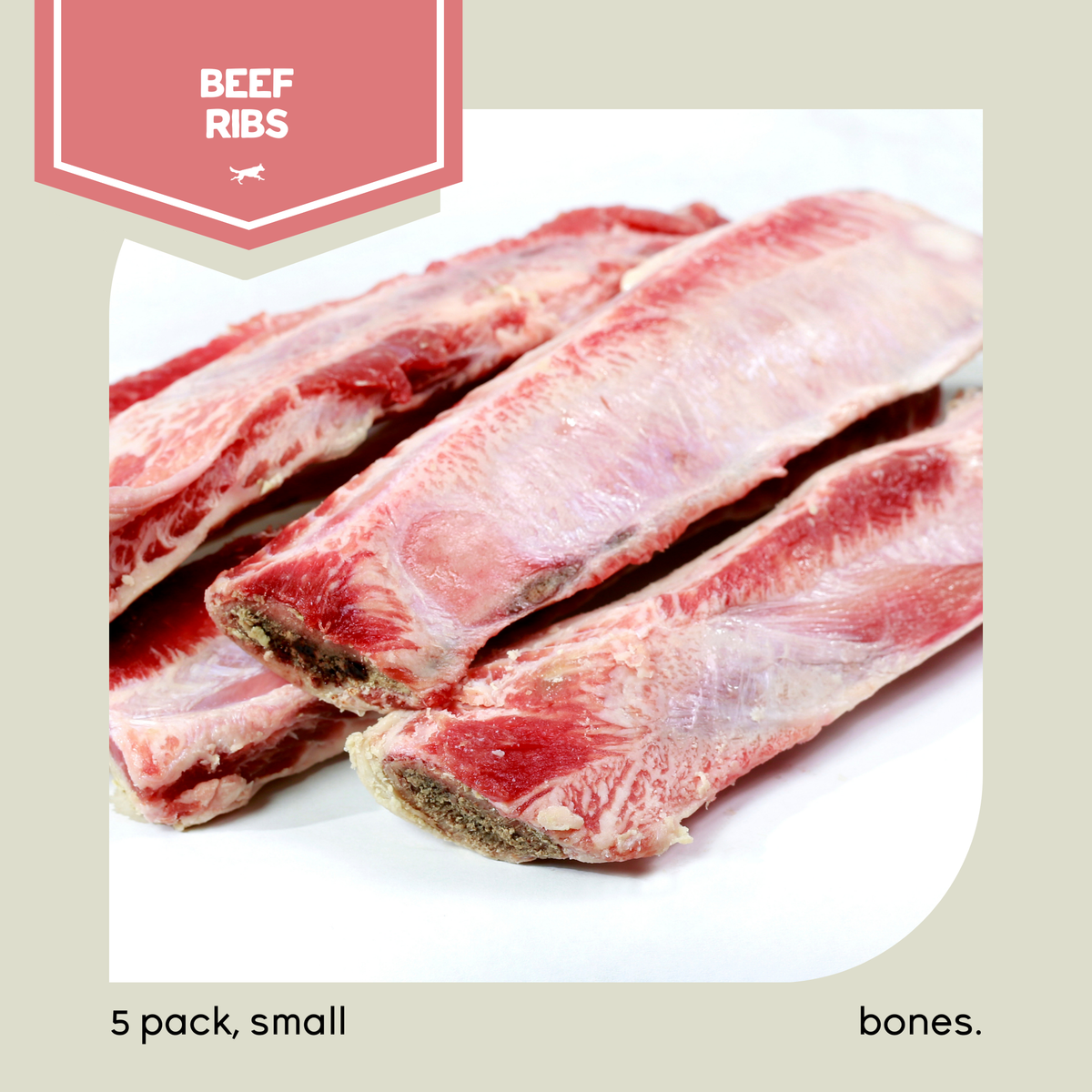 Raw beef rib bones for fashion dogs