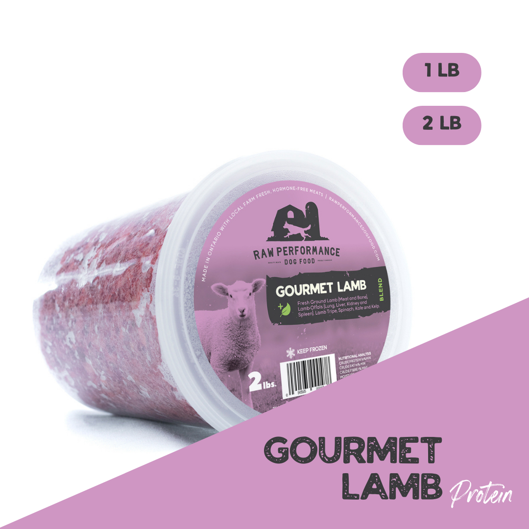 Lamb raw sales dog food