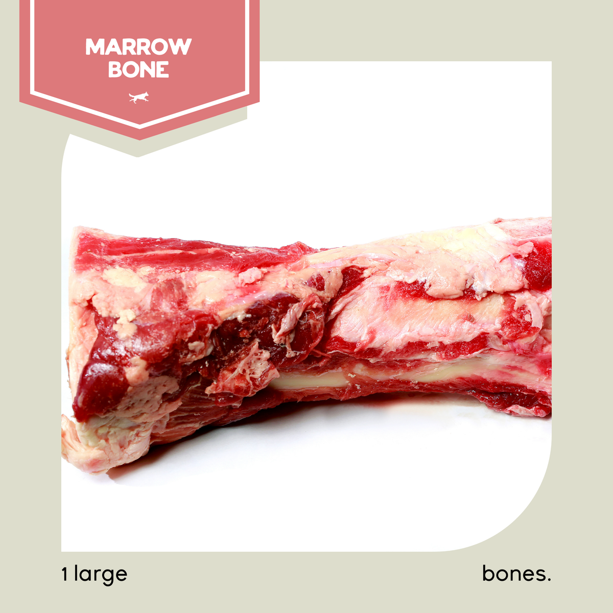 Large Marrow Bone Raw Dog Food Bones Delivery Ontario Raw Performance Dog Food