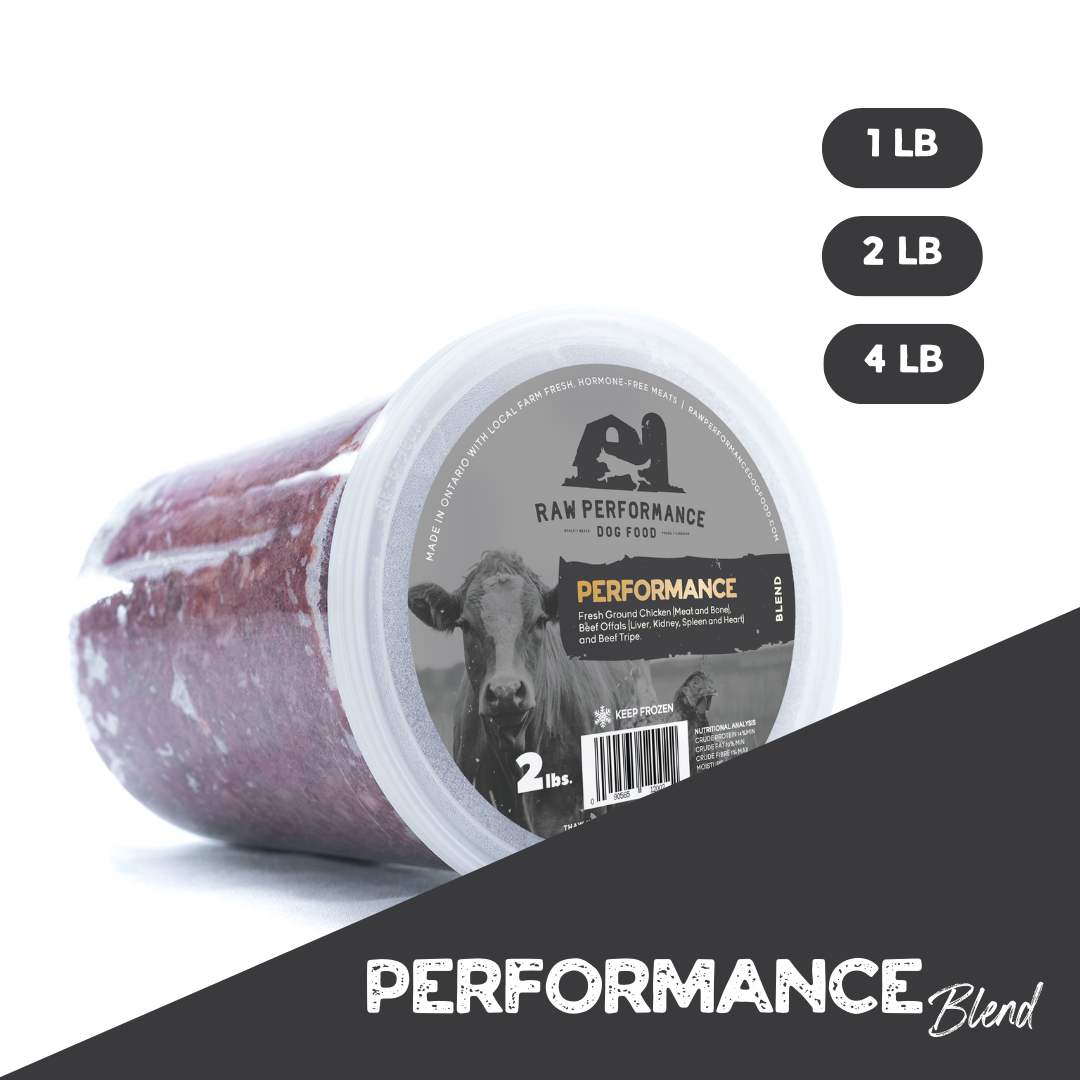 Performance brand dog store food