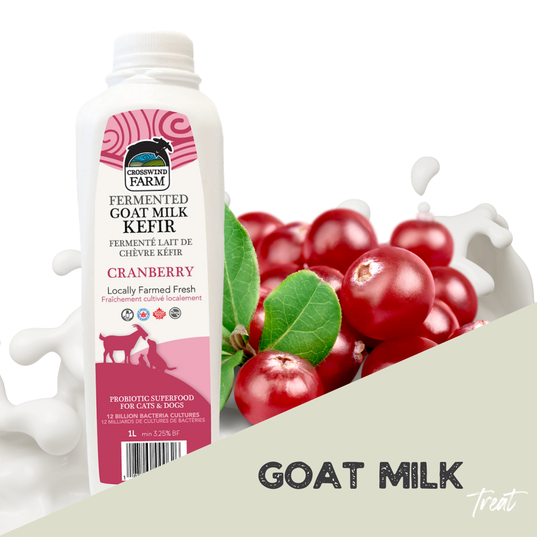 Goat milk kefir for clearance dogs