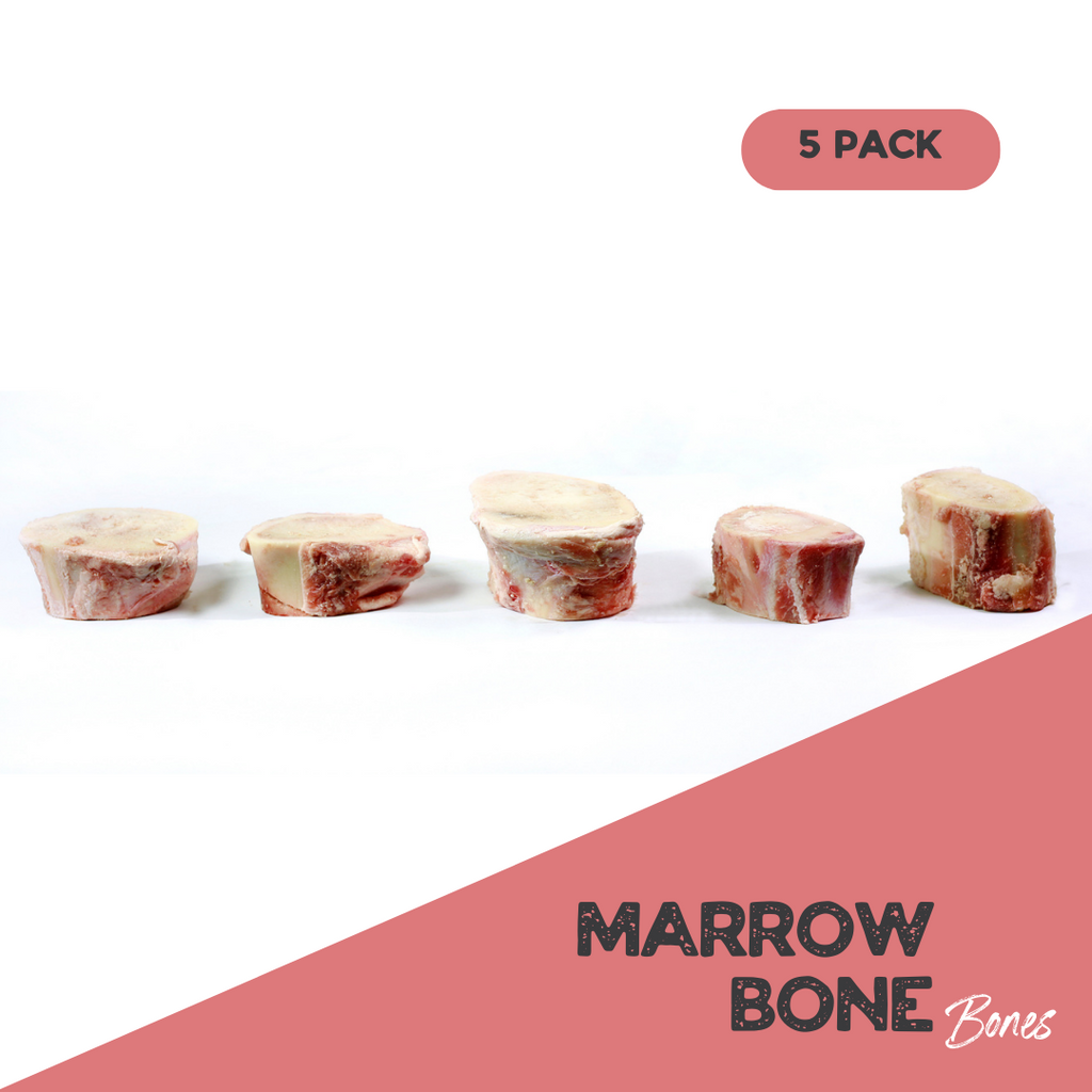 Can dogs have 2025 beef marrow bones