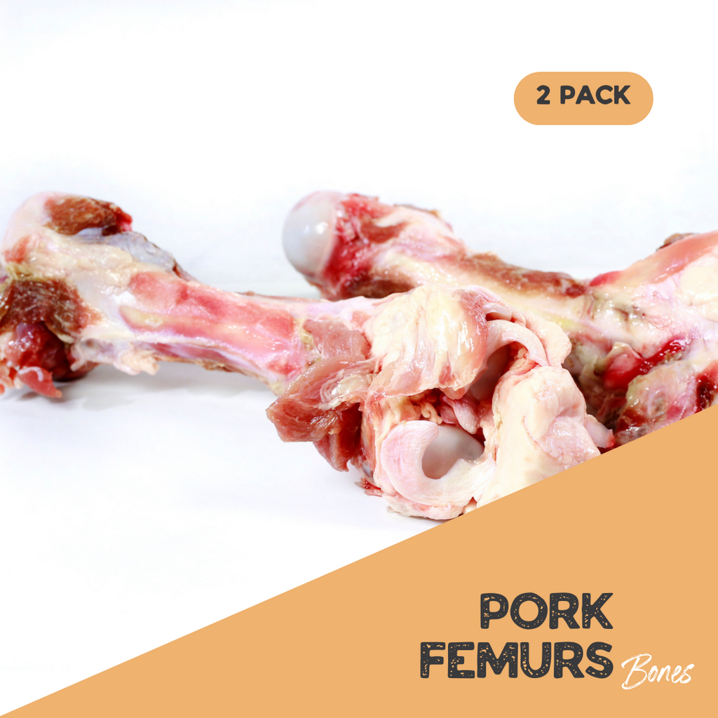 2 Pork Femurs Raw Dog Food Bones Ontario Delivery Raw Performance Dog Food